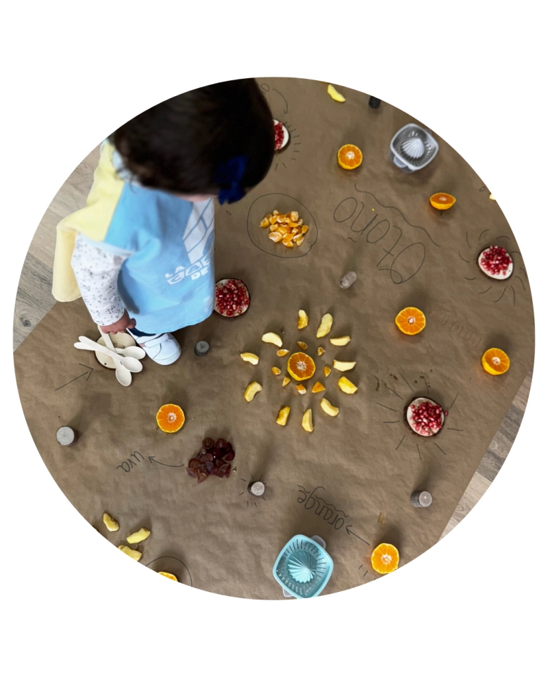 Alimentación saludable